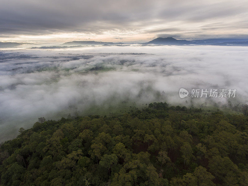 在泰国碧差汶的Thung Salaeng Luang国家公园的自然山脉和雾中旅行